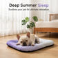 ⏳Time-Limited Special⏰Pawchill Pet Cooling Mat for Dogs & Cats 🐾  Naturally Cool Ice-Silk Pad • Breathable, Washable & Soft 🌿  For Floors, Sofas & Car Travel • Multiple Sizes • Gradient Colours ☀️🐶🐱