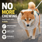 ⏳Limited-time 50% off⏰Breathable Mesh Dog Muzzle – Anti-Ingestion Full-Face Guard🐶