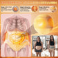 Official Brand Store | 🌾🌾 2026 MORINGA & BERBERINE 4-in-1 Micro-Particle Body Shaping & Fat-Burning Shorts
