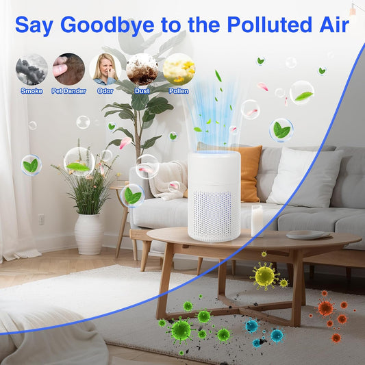 🔥Anti-Formaldehyde Air Purifier for Home