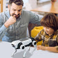 Interactive STEM Smart Robot Dog