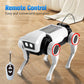 Interactive STEM Smart Robot Dog