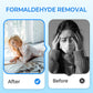 🔥Anti-Formaldehyde Air Purifier for Home