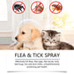 ⏳Limited-Time Offer: Buy 2 Get 1 FREE!✨️🌿The #1 Plant-Based Flea