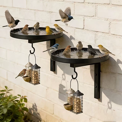 Wall-Mounted Metal Bird Bath – Antique Bronze Finish 🐦🏡