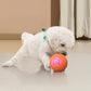 ⏰🔥LIMITED TIME 50% OFF!🔥50K+ SOLD!   🐾 AUTO-BOUNCING SMART PET BALL WITH REMOTE CONTROL— 3 Interactive Modes | Chew-Resistant E-TPU | USB-C Rechargeable 🎾