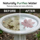 🌿Universal Fit Bird Bath Purifier