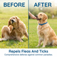🎉 FLASH DEAL 50% OFF🐶🐱 – Plant-Based Flea & Tick Collar 🌿 Up to 8 Months Protection, Slow-Release Oils, Water-Resistant 💦 Repels Mosquitoes & Larvae, Comfortable & Safe for Daily Wear 🐕