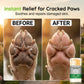 🐶 Buy 1 Get 1 FREE! 🐱 Paw Moisturizing Balm – Practical Care for Soft and Healthy Paws