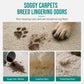 Clean Rugs & Sofas Instantly! Waterless Fabric Foam Cleaner